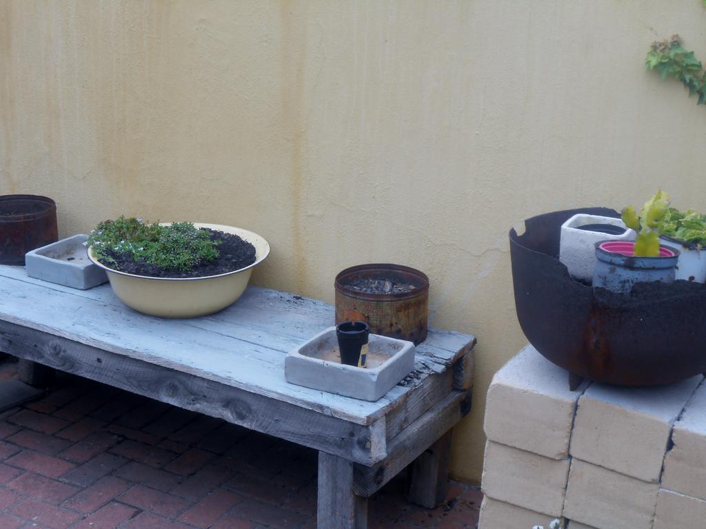 Toscana Cottage Port Elizabeth Eksteriør billede